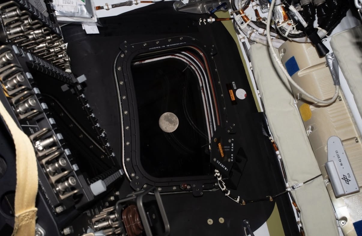 Astronaut taking a selfie with Earth in the background from the Artemis II spacecraft